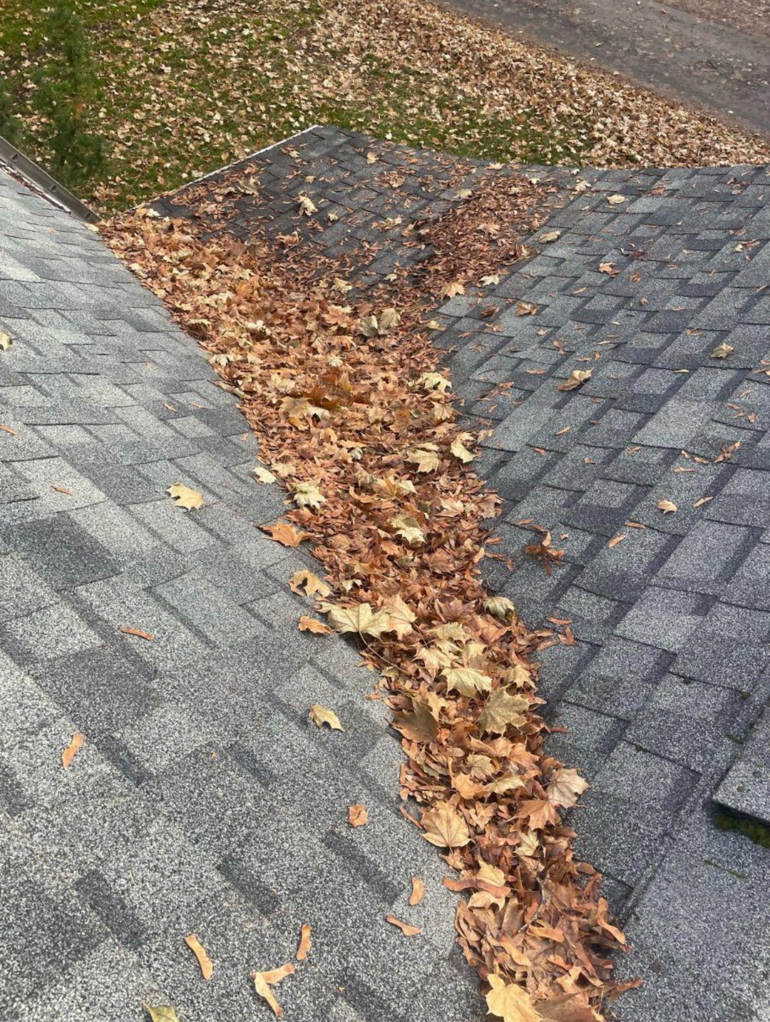 Gutter Clean Out and Roof Debris Blowoff in Pullman, WA Thumbnail