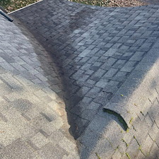 Gutter-Clean-Out-and-Roof-Debris-Blowoff-in-Pullman-WA 2