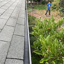 Gutter-Cleaning-in-Pullman-WA 4