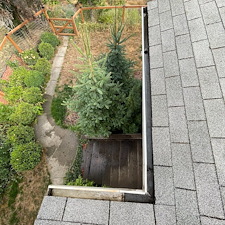 Gutter-Cleaning-in-Pullman-WA 2