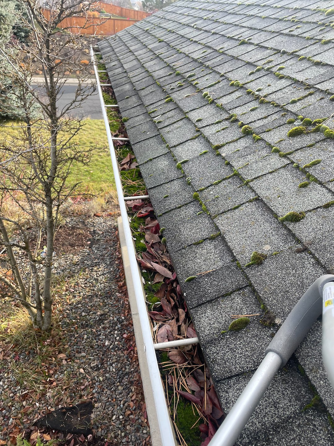 Huge Gutter Clean Out in Pullman, WA Thumbnail