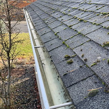 Huge-Gutter-Clean-Out-in-Pullman-WA 5