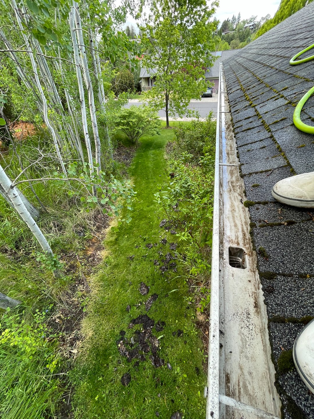 Huge Gutter Cleaning in Pullman Thumbnail