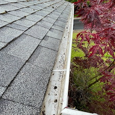 Huge-Gutter-Cleaning-in-Pullman 5