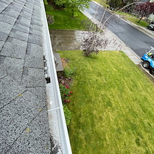 Huge-Gutter-Cleaning-in-Pullman 4