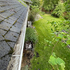 Huge-Gutter-Cleaning-in-Pullman 14