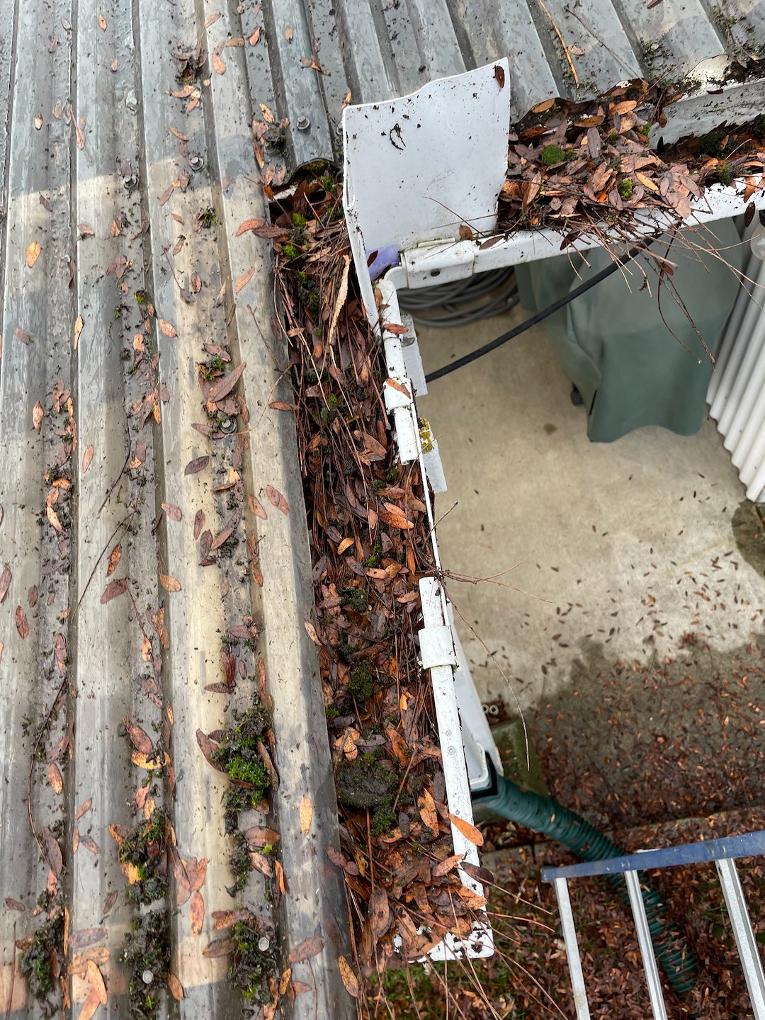 Pullman Gutter Clean Out