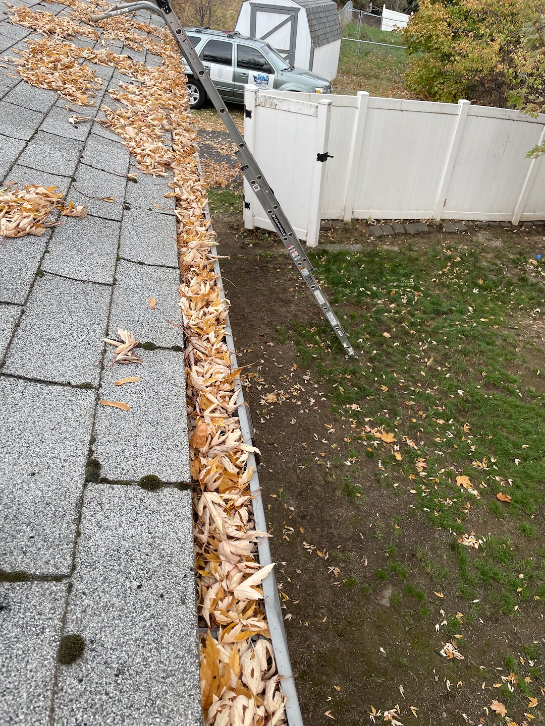 Pullman, WA Gutter Cleaning 