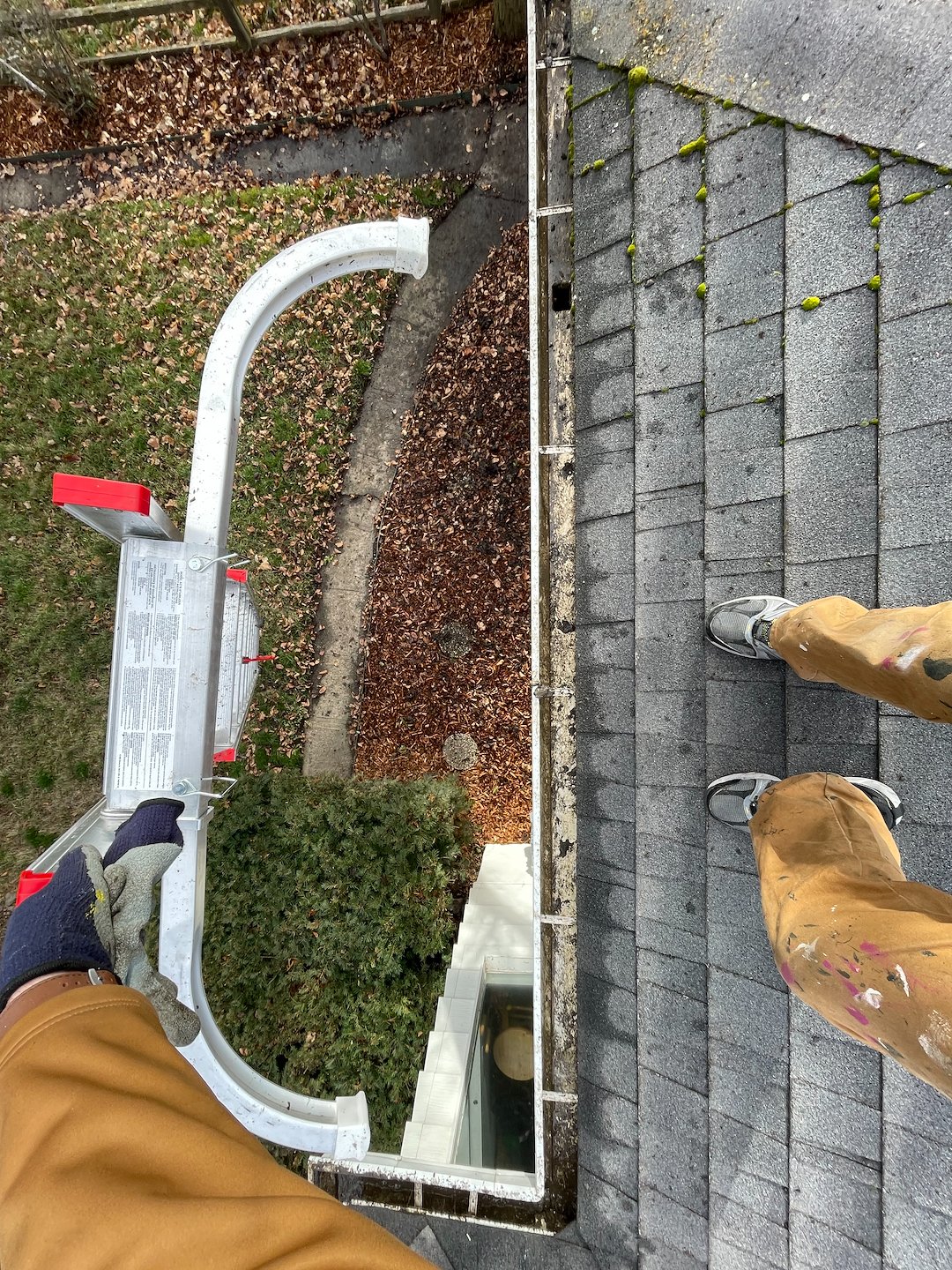 Pullman Washington Gutter Cleaning 