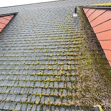 Roof-Moss-Removal-in-Pullman 3