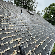 Roof-Soft-Wash-in-Pullman 0
