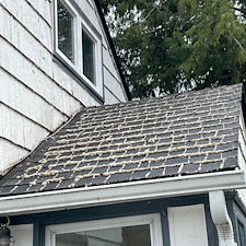 Roof-Soft-Wash-in-Pullman 1