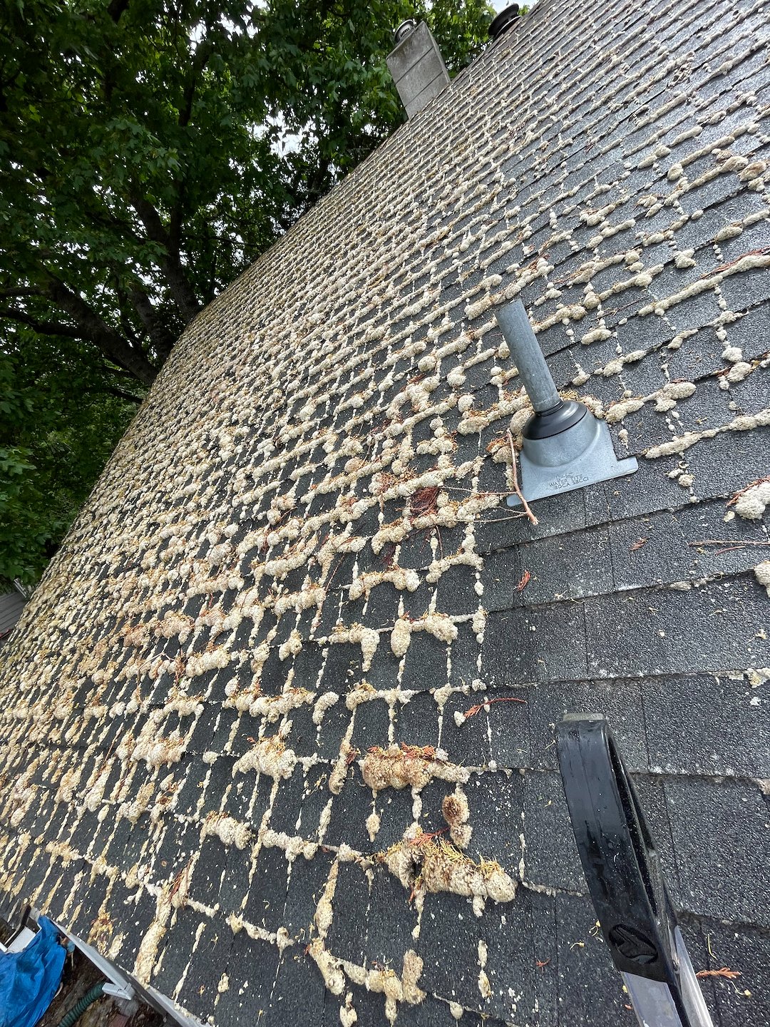 Roof Soft Wash in Pullman Thumbnail