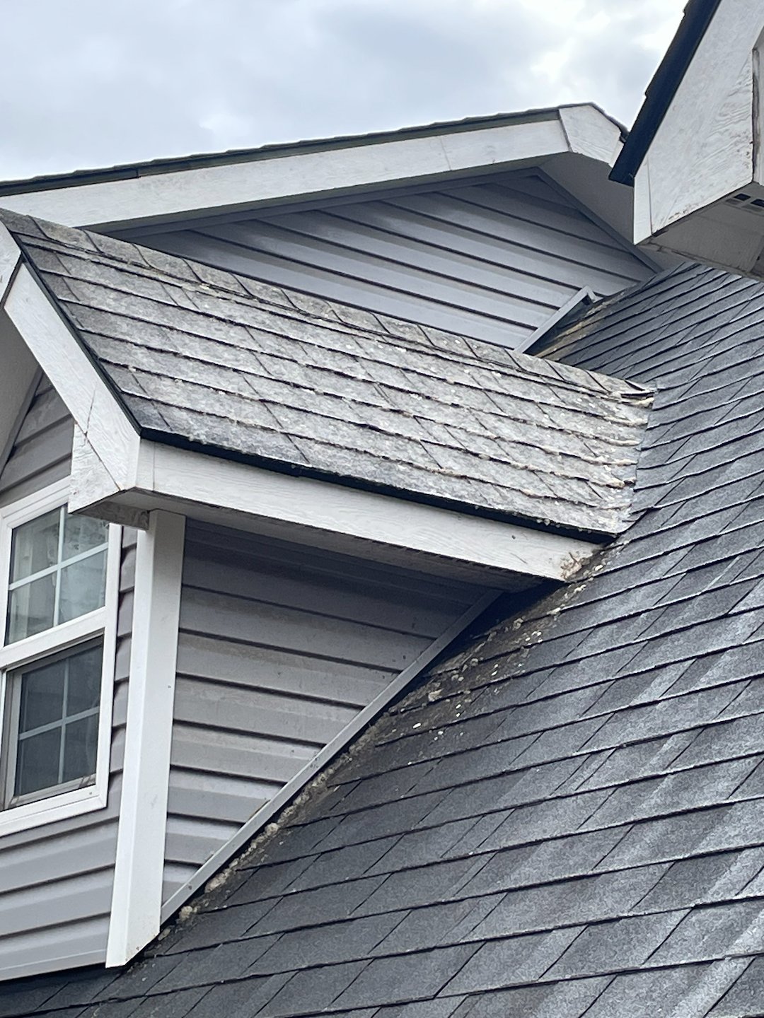 Roof Soft Washing in Pullman 1