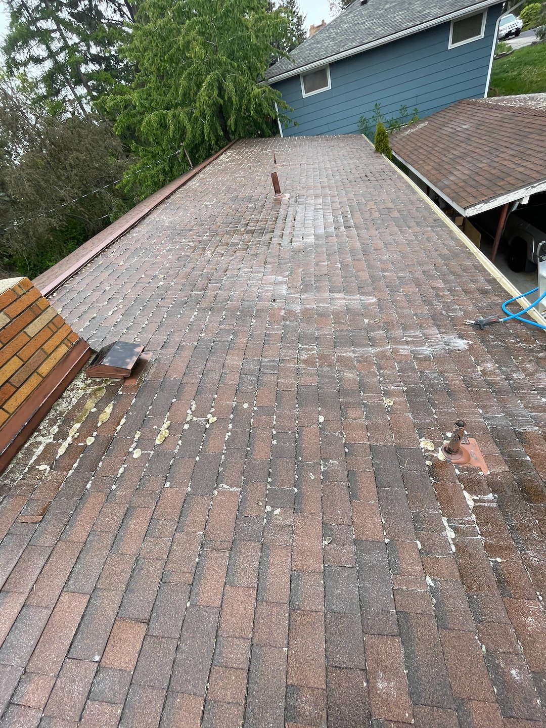 Roof Soft Washing in Pullman Thumbnail