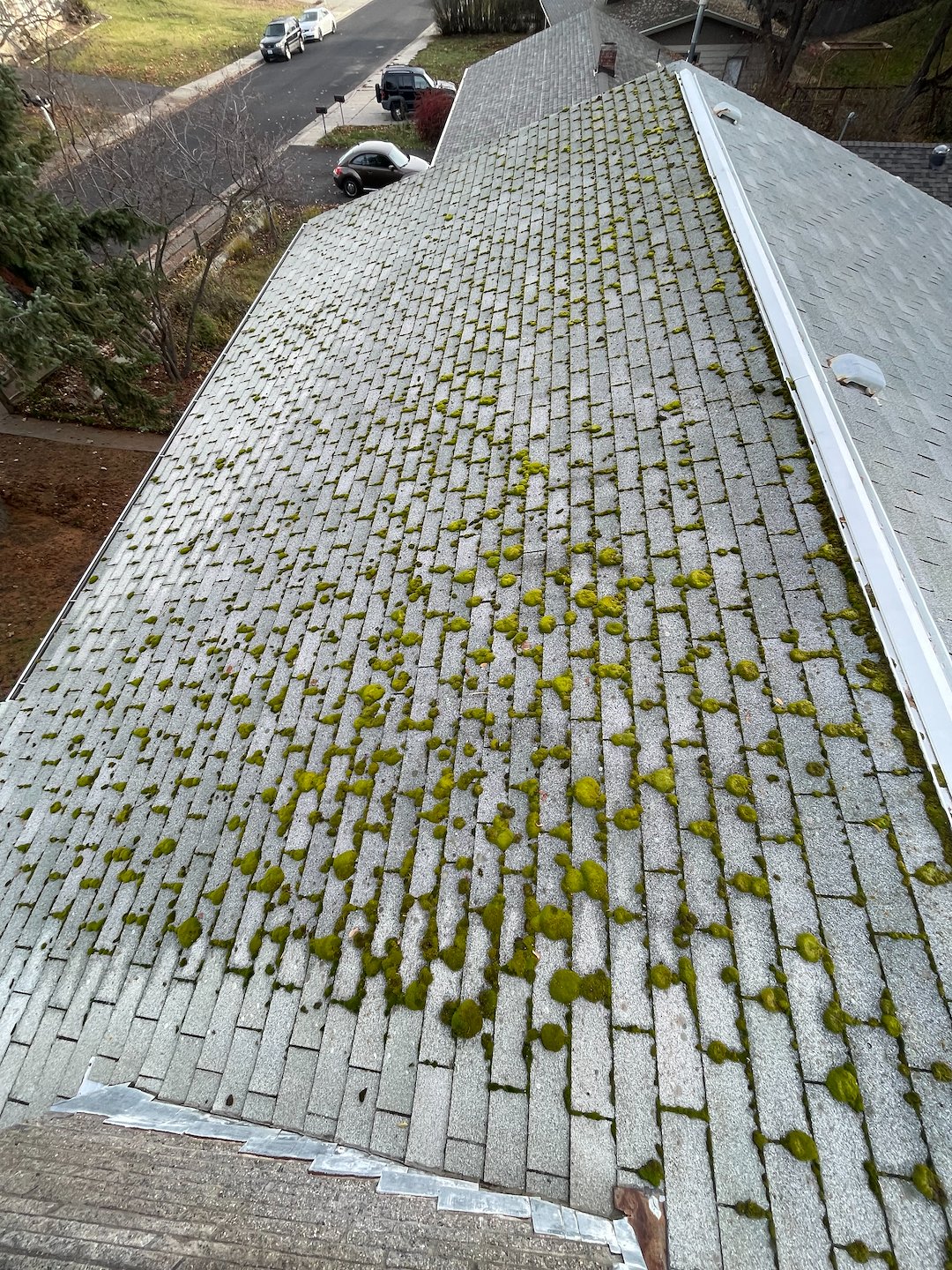 Roof Wash and Gutter Cleaning in Pullman Thumbnail