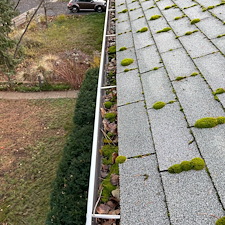 Roof-Wash-and-Gutter-Cleaning-in-Pullman 1