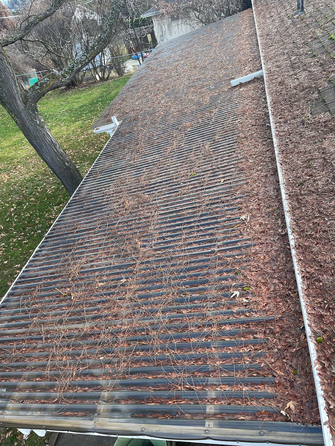 Roof Wash and Moss Treatment