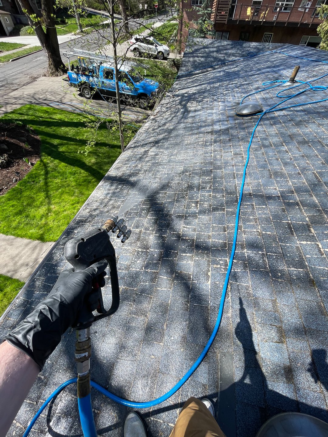 Roof Wash in Pullman